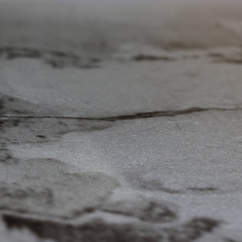 Digitaldruck-Tapete Grau, Silber Rasch (1043166)