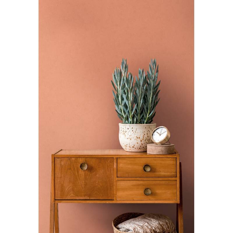 Tapete Orange Architects Paper Vliestapete (1043629)