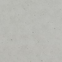 Tapete Grau, Silber Rasch Vliestapete (1022117)