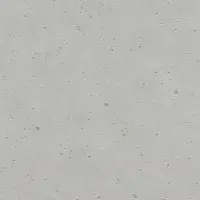 Tapete Grau, Silber Rasch Vliestapete (1022117)