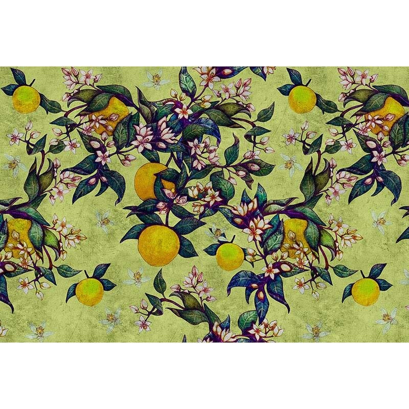 Digitaldruck-Tapete Grapefruit tree 1 livingwalls (1025971)