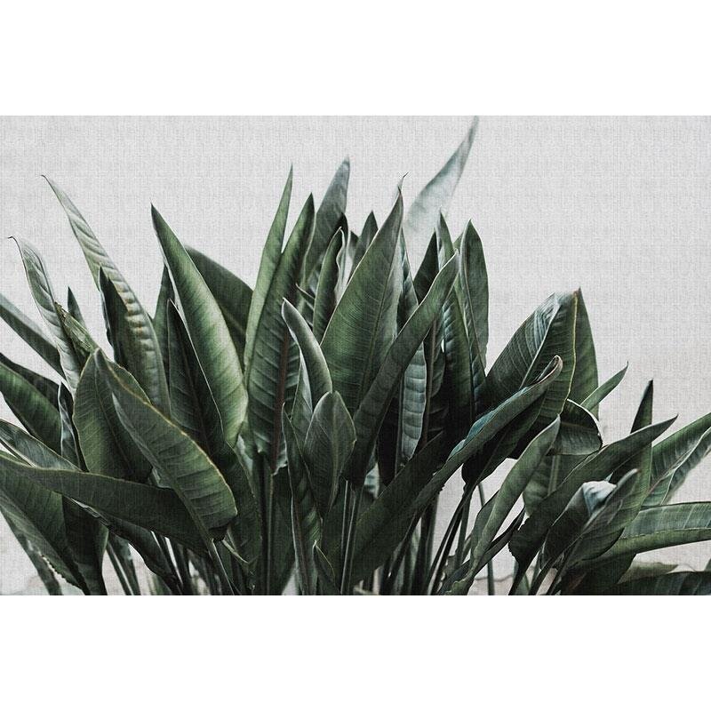 Digitaldruck-Tapete Urban jungle 2 livingwalls (1025965)