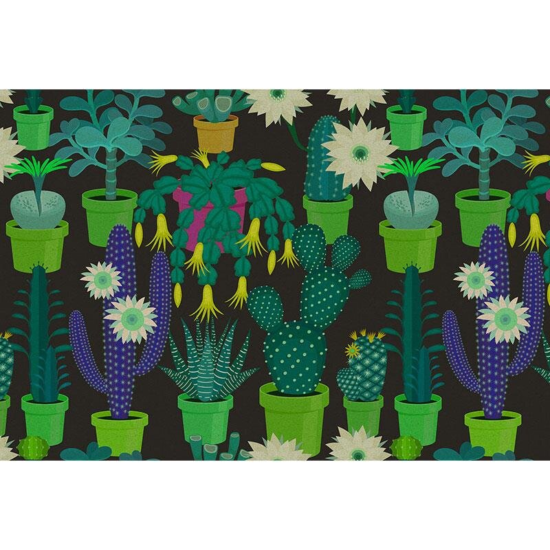 Digitaldruck-Tapete Cactus garden 2 livingwalls (1025954)