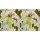Digitaldruck-Tapete Vintage bloom 1 livingwalls (1025946)