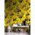 Digitaldruck-Tapete Wild roses 5 livingwalls (1016541)