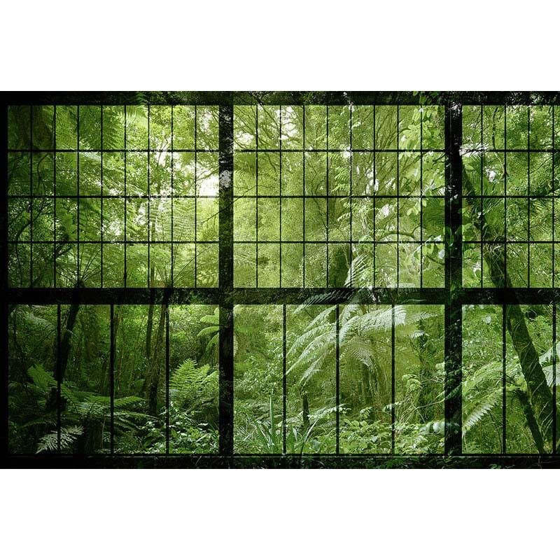 Digitaldruck-Tapete Rainforest 2 livingwalls (1025888)