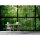 Digitaldruck-Tapete Rainforest 2 livingwalls (1025888)