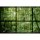 Digitaldruck-Tapete Rainforest 2 livingwalls (1025888)
