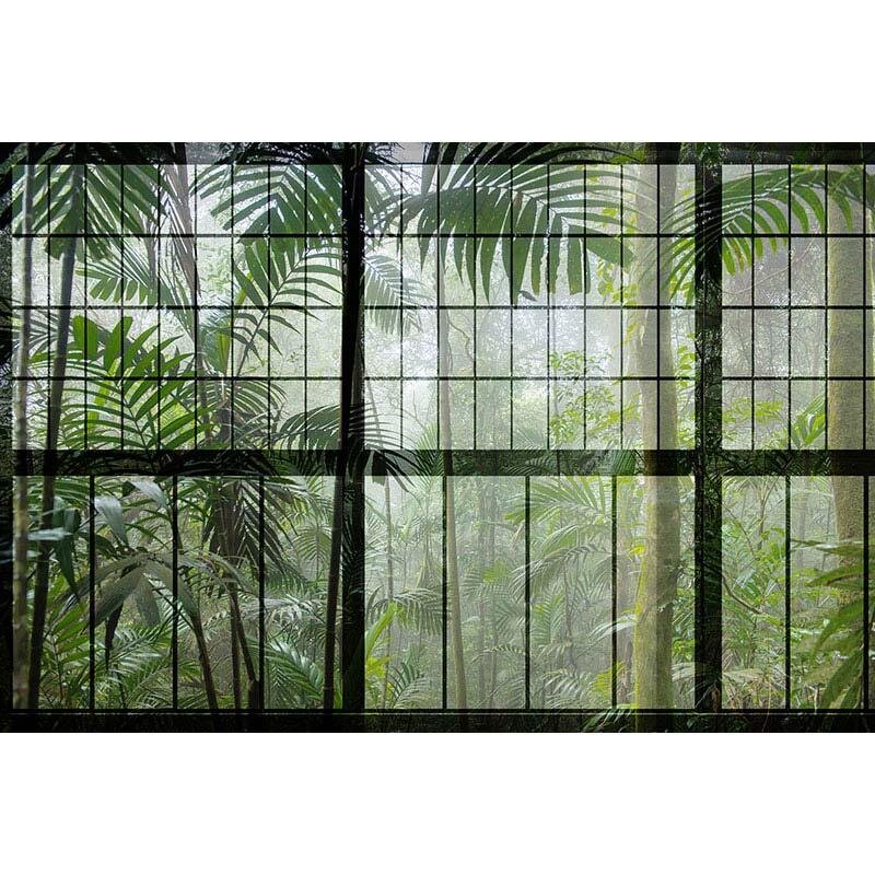 Digitaldruck-Tapete Rainforest 1 livingwalls (1025887)