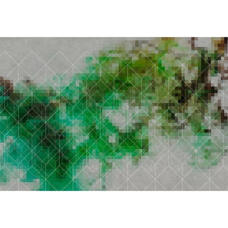 Digitaldruck-Tapete Colour Network 3 livingwalls (1031480)