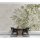 Digitaldruck-Tapete Greenery 2 livingwalls (1031493)