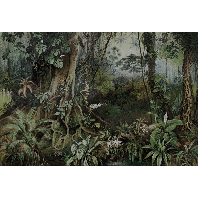 Digitaldruck-Tapete Jungle 2 livingwalls (1024485)