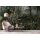 Digitaldruck-Tapete Jungle 2 livingwalls (1024485)