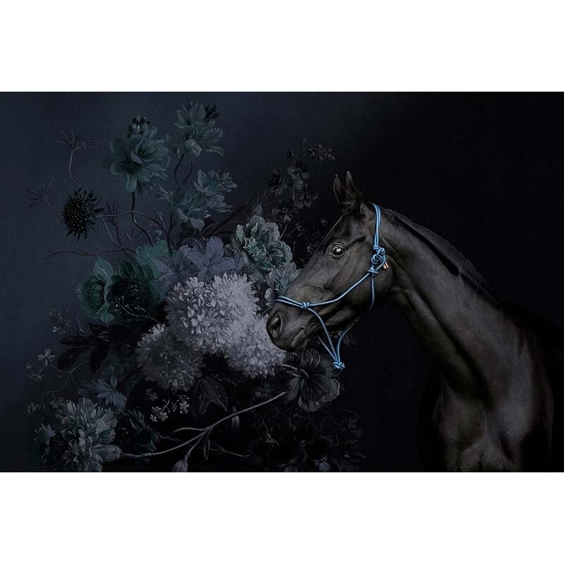 Digitaldruck-Tapete Horses 2 livingwalls (1024477)