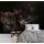 Digitaldruck-Tapete Wildlife 1 livingwalls (1024472)
