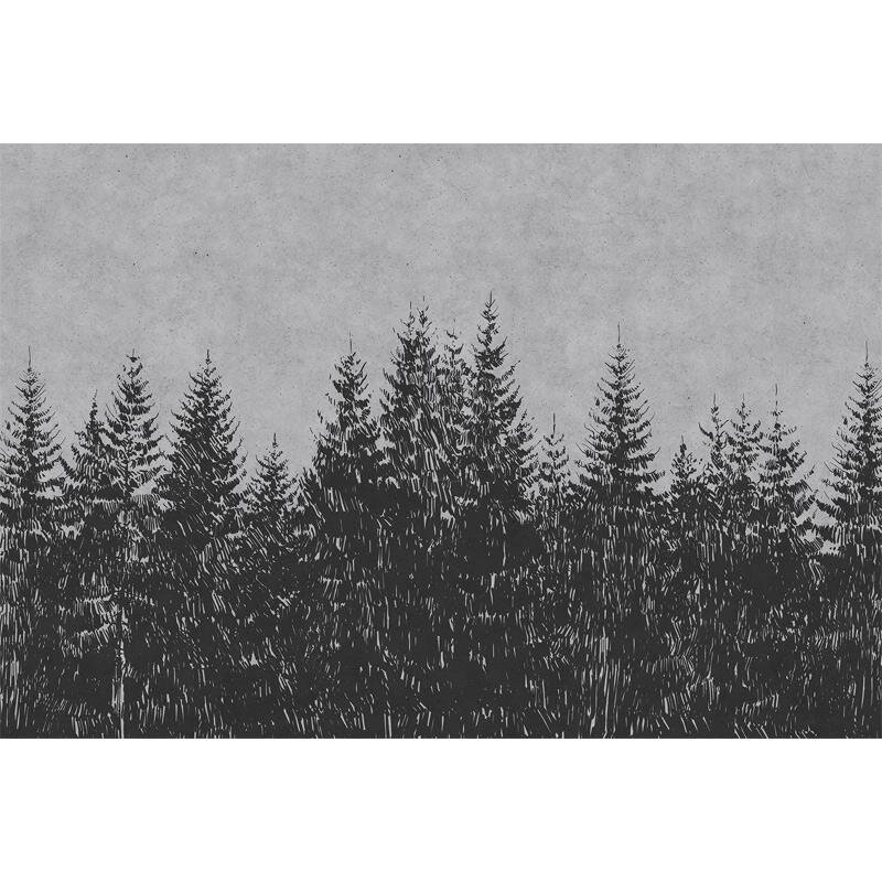 Digitaldruck-Tapete Black Forest 3 livingwalls (1024457)