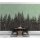 Digitaldruck-Tapete Black Forest 2 livingwalls (1024456)