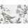 Digitaldruck-Tapete Birdy 3 livingwalls (1024442)