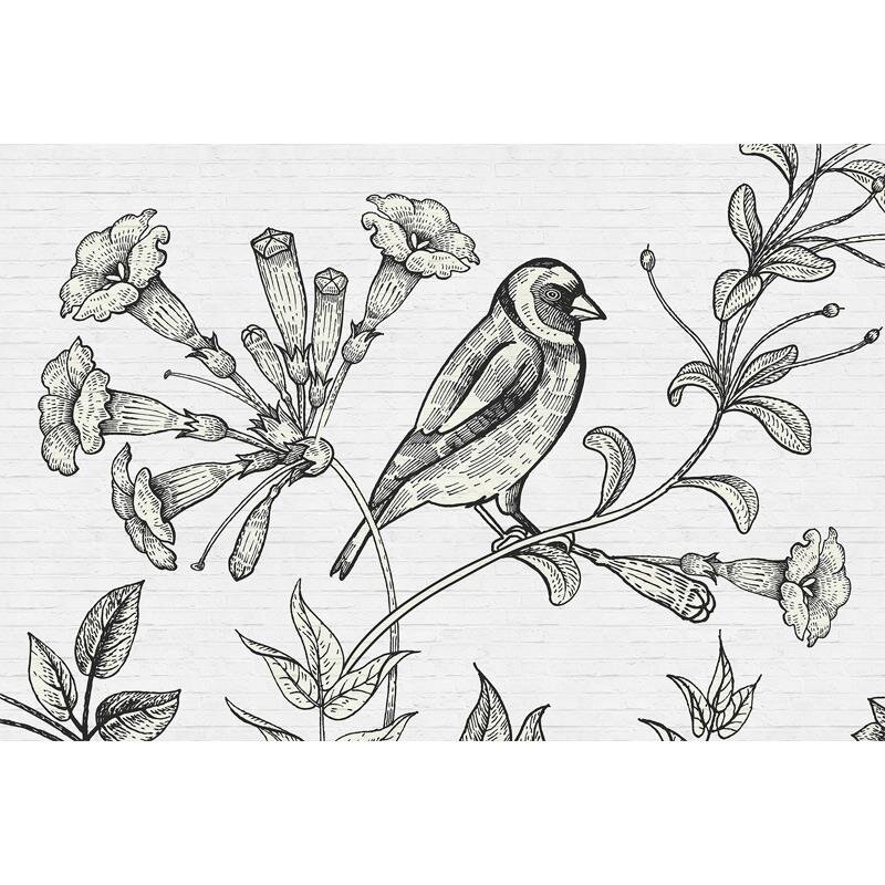 Digitaldruck-Tapete Birdy 1 livingwalls (1024440)