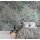 Digitaldruck-Tapete Mosaic Leaves 2 livingwalls (1024420)