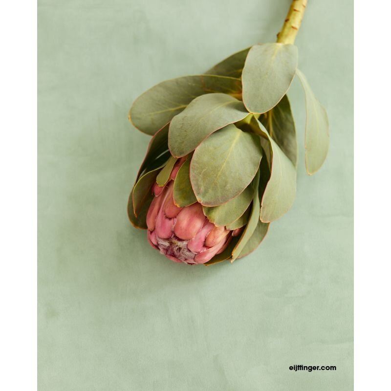 Tapete Grün, Pastellfarben Eijffinger Vliestapete (1021790)