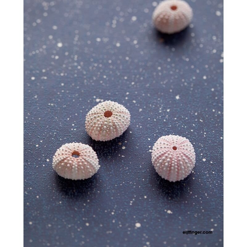 Tapete Blau Eijffinger Vliestapete (1021779)