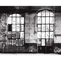 Digitaldruck-Tapete Grau, Silber, Schwarz, Anthrazit...