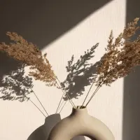 Tapete Beige, Creme Novamur Vliestapete (1044833)