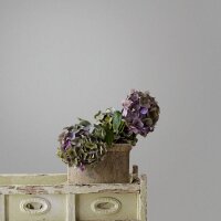 Tapete Grau Novamur Vliestapete (1044813)