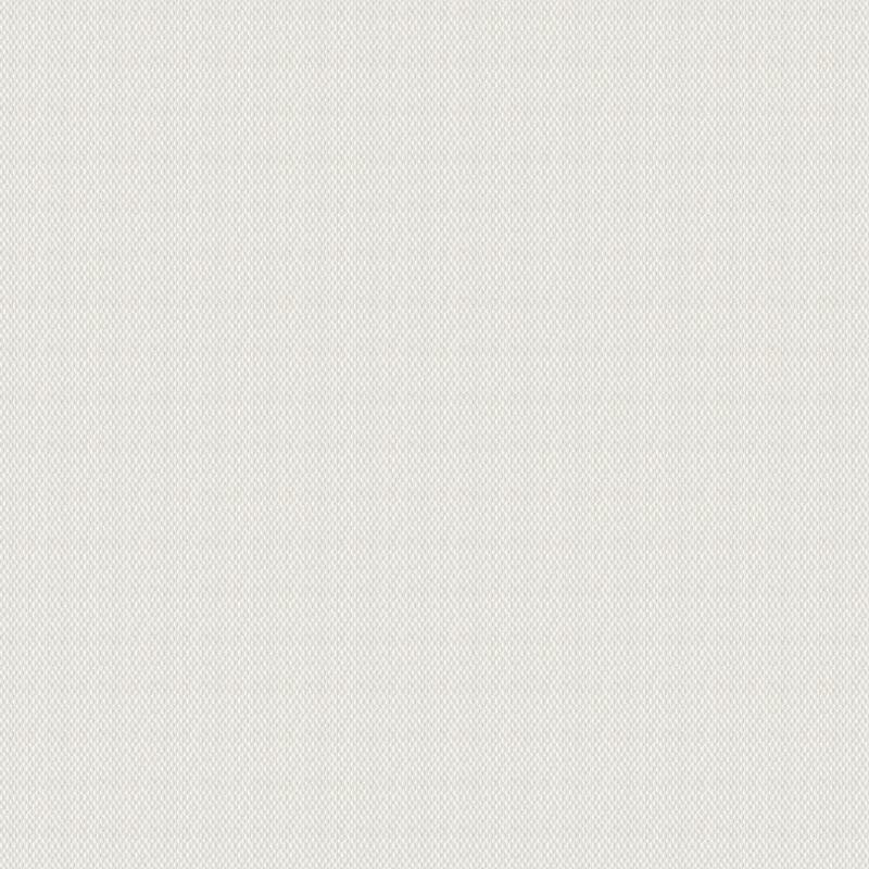 Glasfasertapete Weiß AS-Creation (1025494)