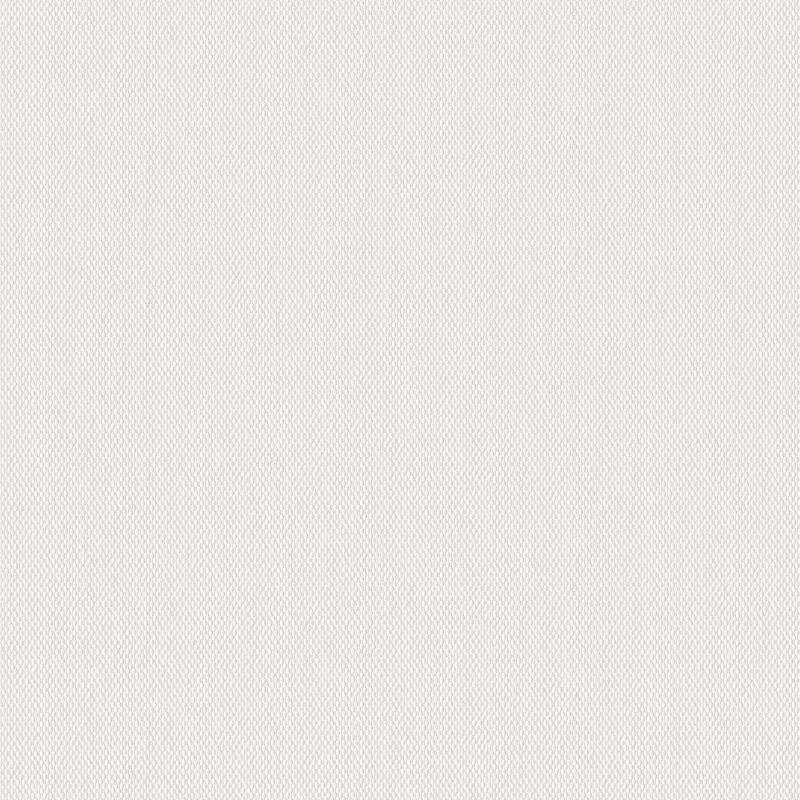 Glasfasertapete Weiß AS-Creation (1025495)