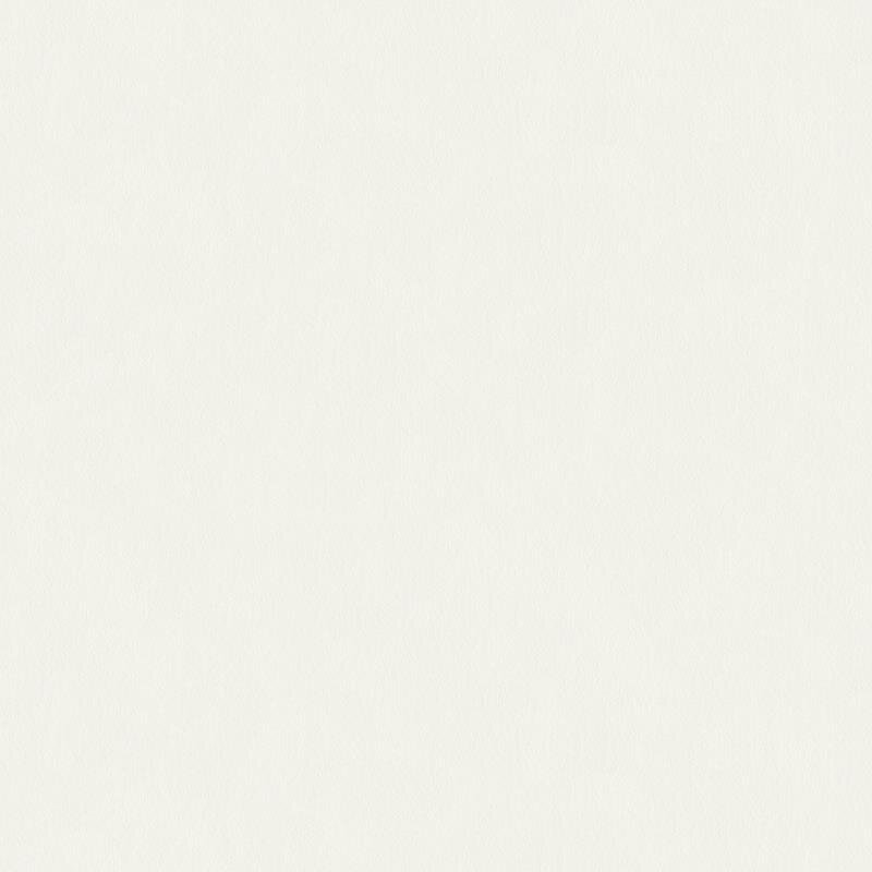 Glasfasertapete Weiß AS-Creation (1025497)