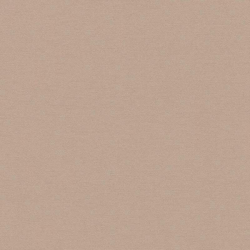 Tapete Braun AS-Creation Vliestapete (1043051)