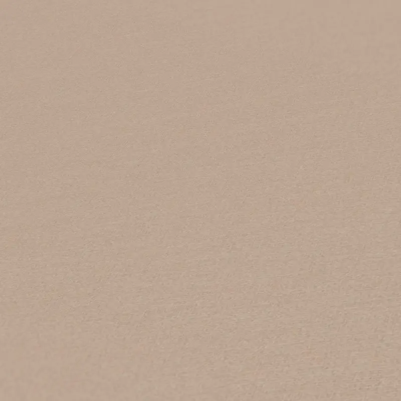 Tapete Braun AS-Creation Vliestapete (1043051)