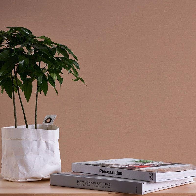 Tapete Braun AS-Creation Vliestapete (1043041)