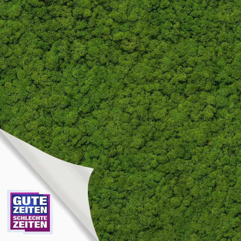 Digitaldruck-Tapete GZSZ Grün Marburg (1044484)