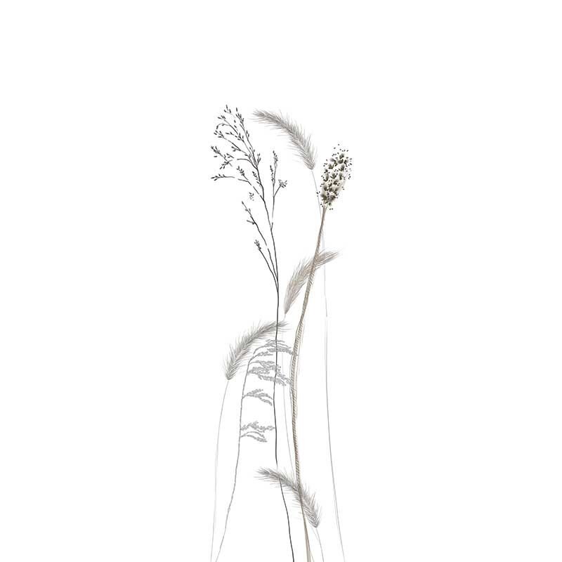 Digitaldruck-Tapete Braun, Grau, Silber, Weiß Marburg (1042915)