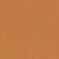 Tapete Orange, Terrakotta Rasch Vliestapete (1042809)