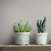 Tapete GZSZ Grau Marburg Vliestapete (1044462)