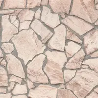 Tapete Braun AS-Creation Vliestapete (1023714)