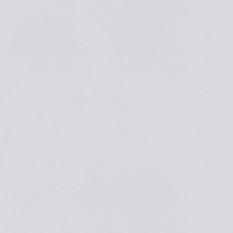 ERFURT Variovlies Plano Superweiss 20 x 0,53 m, Karton (6 x Rolle)