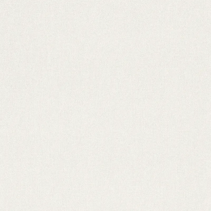 Tapete Weiß Rasch Vliestapete (1042367)