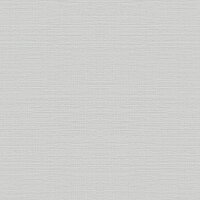 Vliestapete Grau zeitlose Dekoration Rasch Deco Style