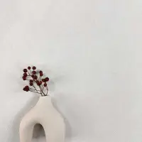 Tapete Wei&szlig; AS-Creation Vliestapete (1042245)