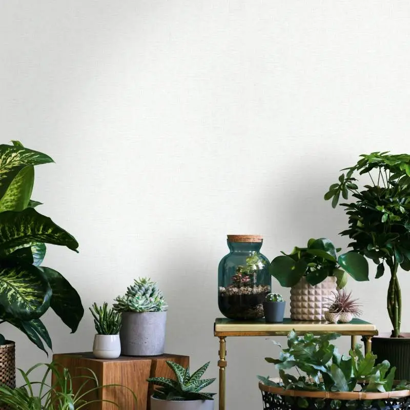 Tapete Grau, Silber Novamur Vliestapete (1041929)