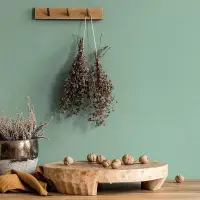 Tapete Gr&uuml;n Novamur Vliestapete (1041913)