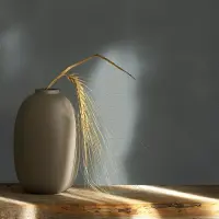 Tapete Grau Novamur Vliestapete (1041908)