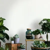 Tapete Wei&szlig; Novamur Vliestapete (1041904)