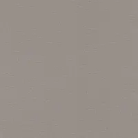 Tapete Grau, Silber Rasch Vliestapete (1041619)