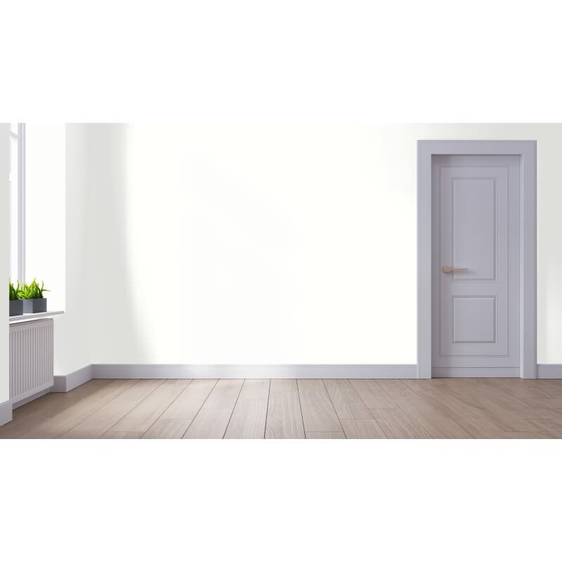 Wandfarbe NCS-S-0300-N Subtile Eleganz von Wallcover Colors